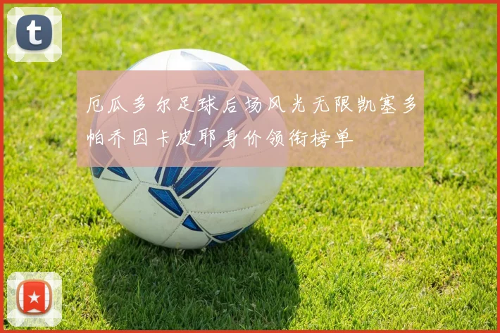 厄瓜多尔足球后场风光无限凯塞多帕乔因卡皮耶身价领衔榜单
