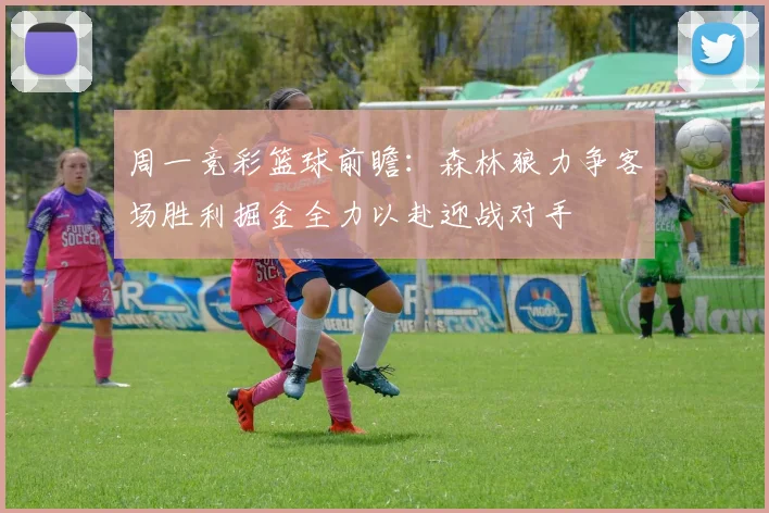 周一竞彩篮球前瞻：森林狼力争客场胜利掘金全力以赴迎战对手
